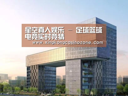 案例展示四