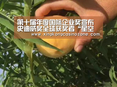 第十届年度国际企业奖宣布史迪威奖全球获奖者“星空下载”